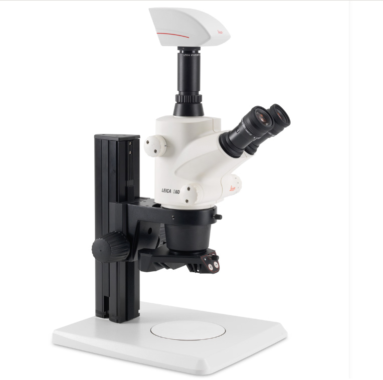 forensic document examination. Stereomicroscope