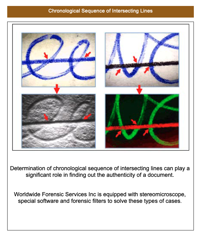 Sequence of intersection Lines. Worldwide Forensic Services Inc.